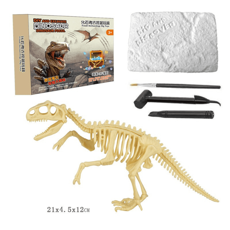 Kit Brinquedo Escavação de Fósseis de Dinossauros - Kids