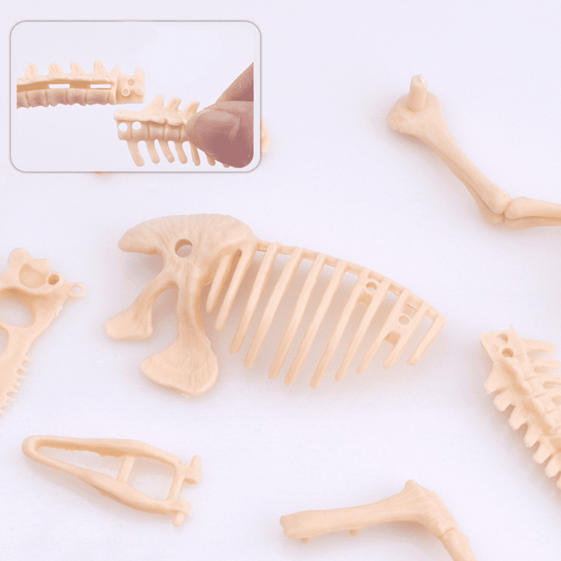 Kit Brinquedo Escavação de Fósseis de Dinossauros - Kids